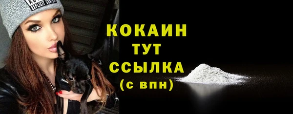 молекула духа Покачи