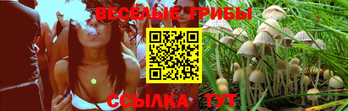 Ханты-Мансийск  Псилоцибиновые грибы ЛСД  Псилоцибиновые грибы Psilocybe  Вход с VPN 